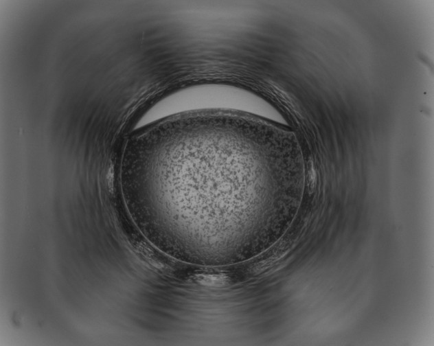 X0000091180552200709060956