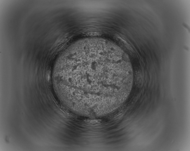 X0000091180553200709060956