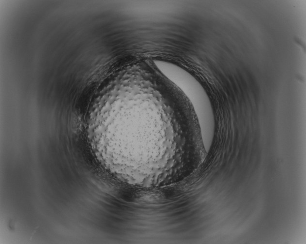 X0000091180555200709060956