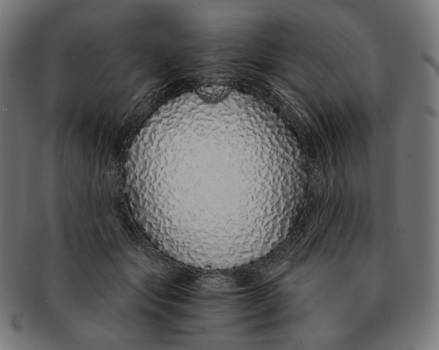 X0000091180557200709060956
