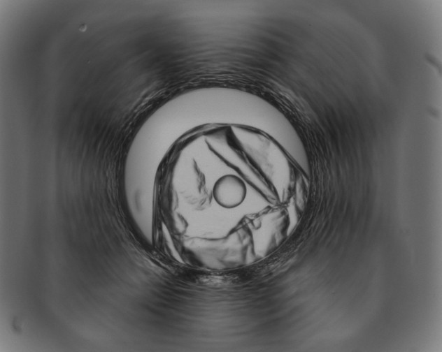 X0000091180558200709060956