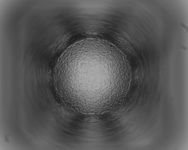 X0000091180559200709060956
