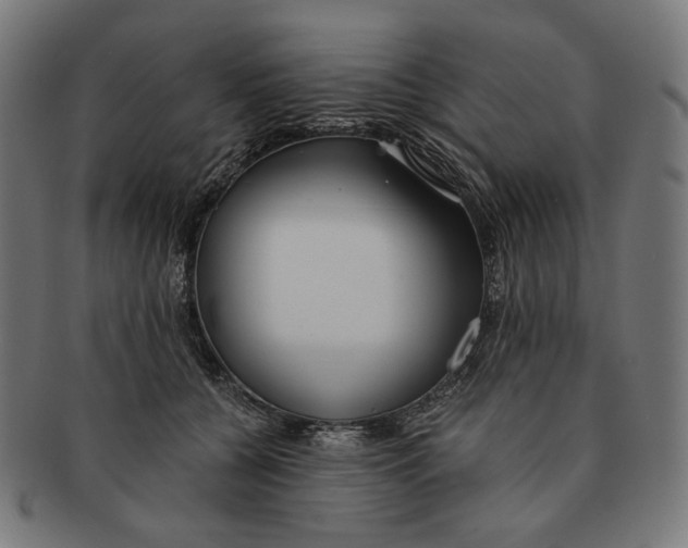 X0000091180560200709060956
