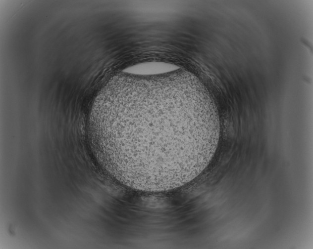 X0000091180561200709060956