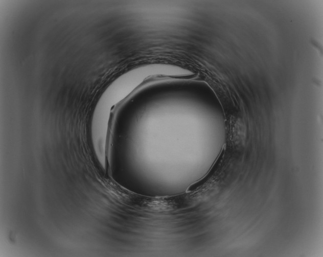 X0000091180562200709060956