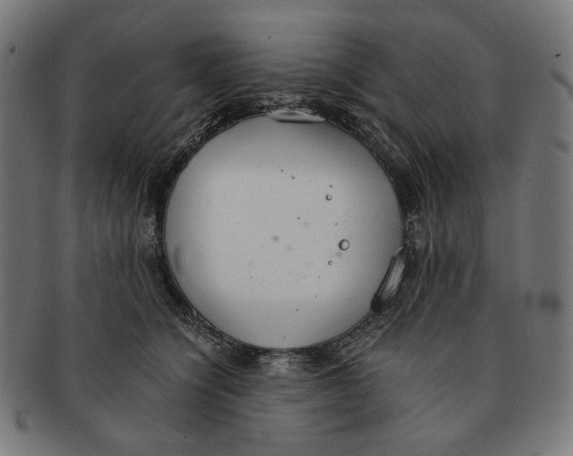 X0000091180564200709060956