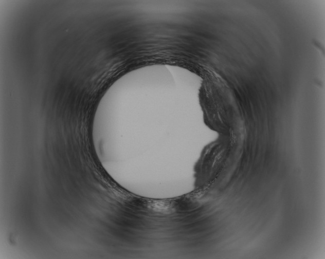 X0000091180565200709060956