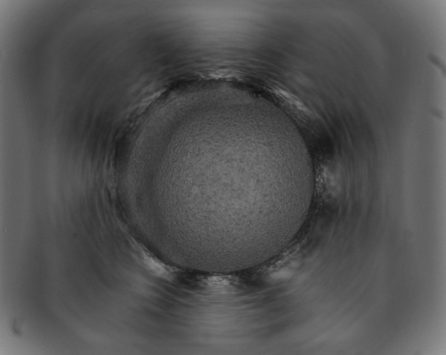 X0000091180566200709060956