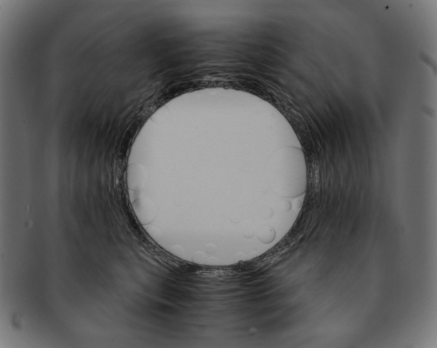 X0000091180567200709060956