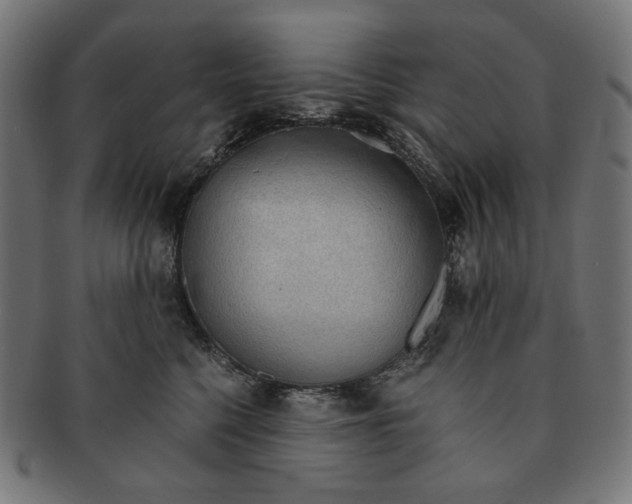 X0000091180568200709060956