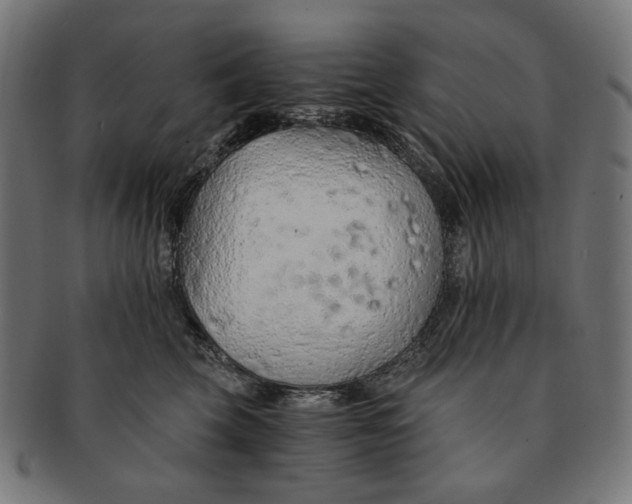 X0000091180569200709060956