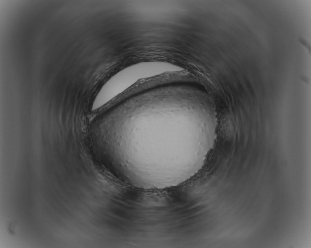 X0000091180571200709060956
