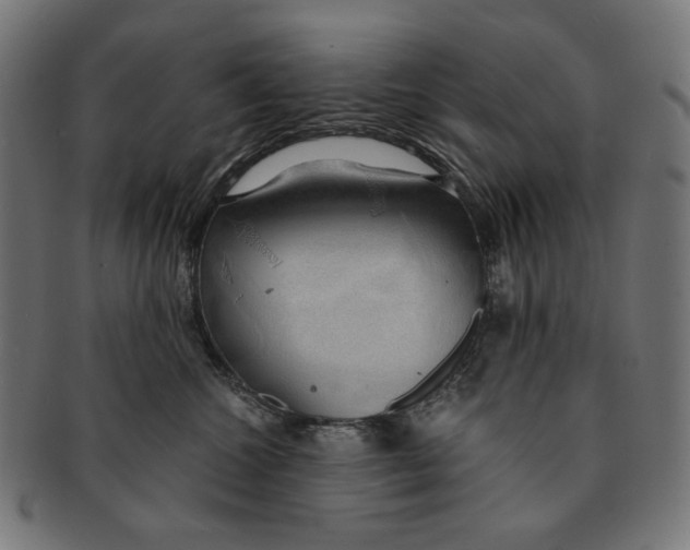 X0000091180572200709060956