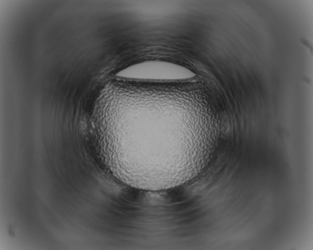X0000091180573200709060956