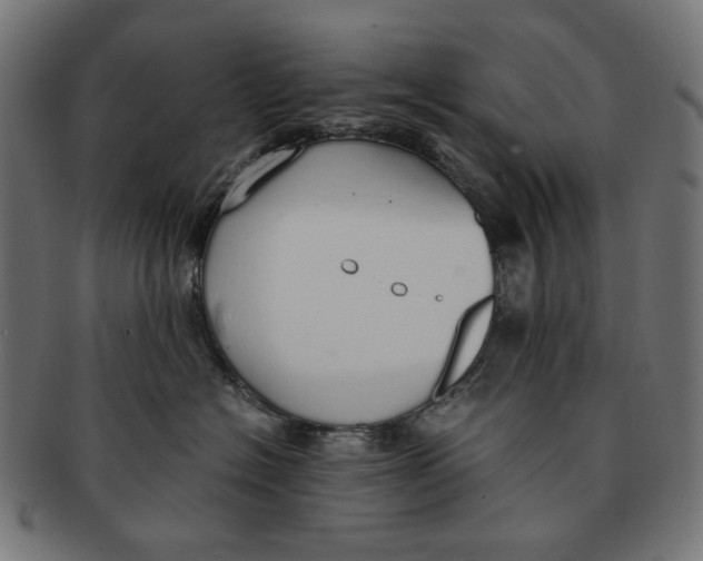 X0000091180574200709060956
