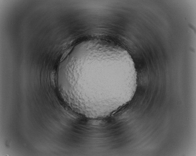 X0000091180575200709060956