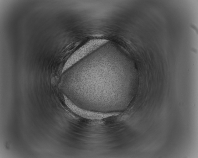 X0000091180576200709060956