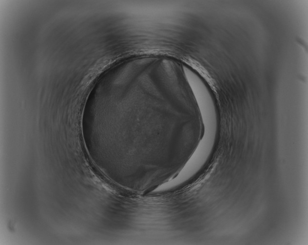 X0000091180577200709060956