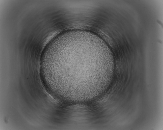 X0000091180578200709060956