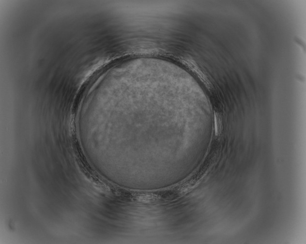 X0000091180579200709060956