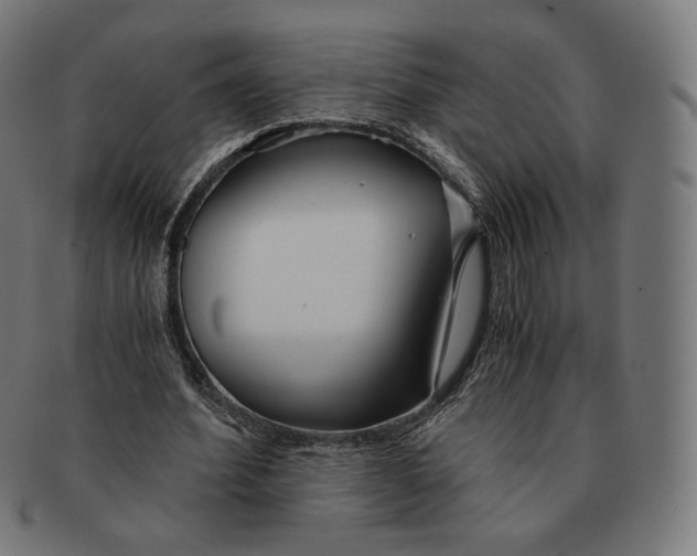 X0000091180580200709060956