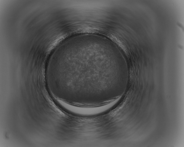 X0000091180581200709060956