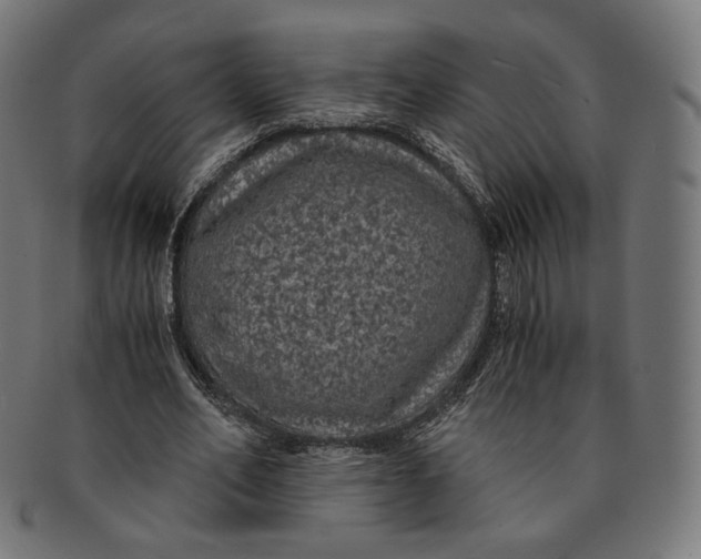 X0000091180582200709060956