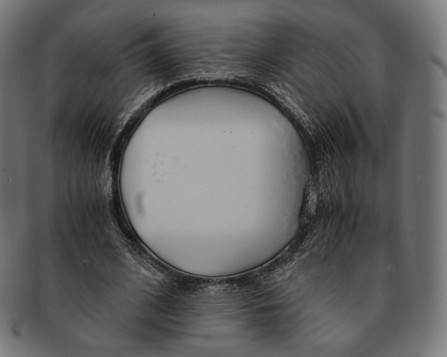 X0000091180584200709060956