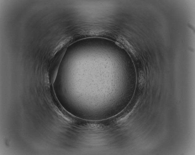 X0000091180585200709060956