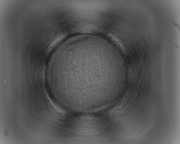 X0000091180586200709060956