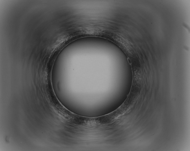 X0000091180587200709060956