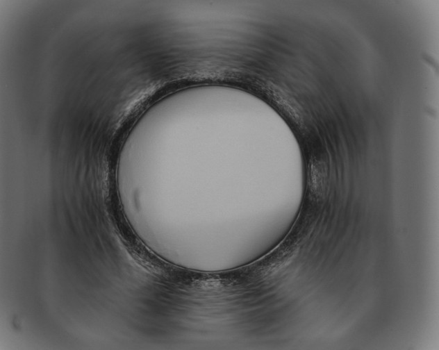 X0000091180588200709060956