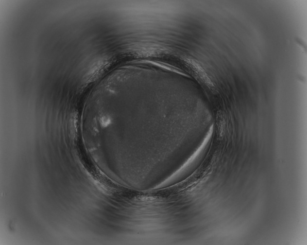 X0000091180590200709060956