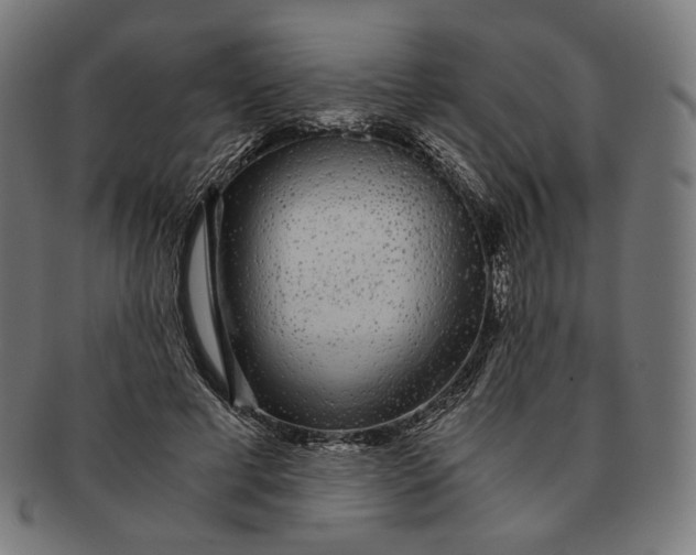 X0000091180593200709060956