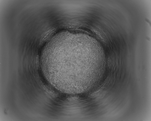 X0000091180594200709060956