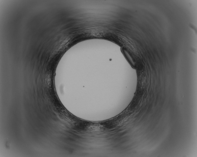 X0000091180595200709060956