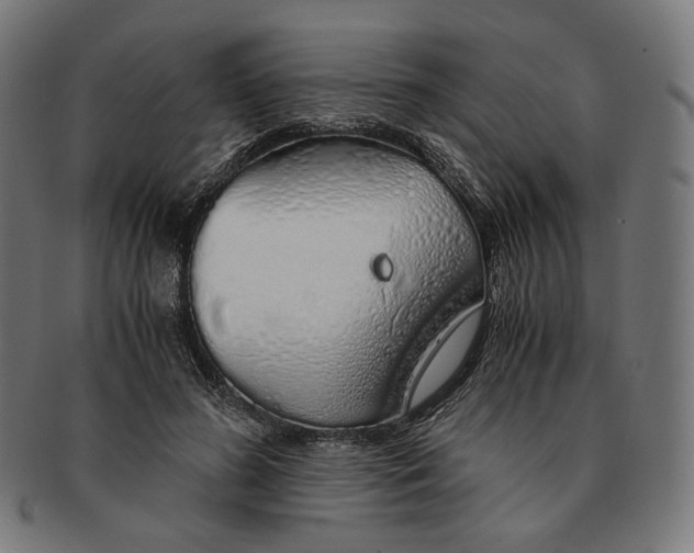 X0000091180596200709060956
