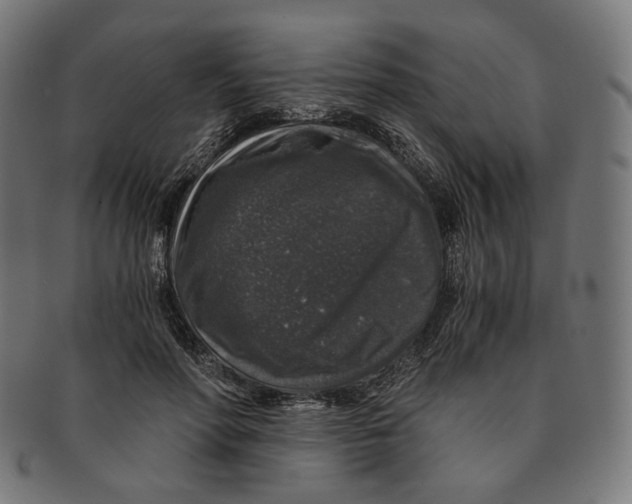 X0000091180598200709060956