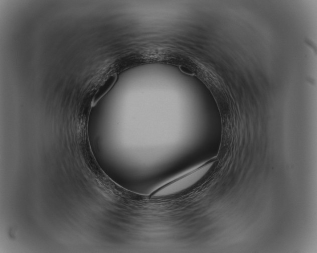 X0000091180601200709060956