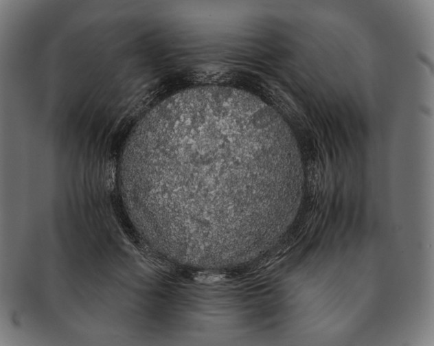 X0000091180602200709060955