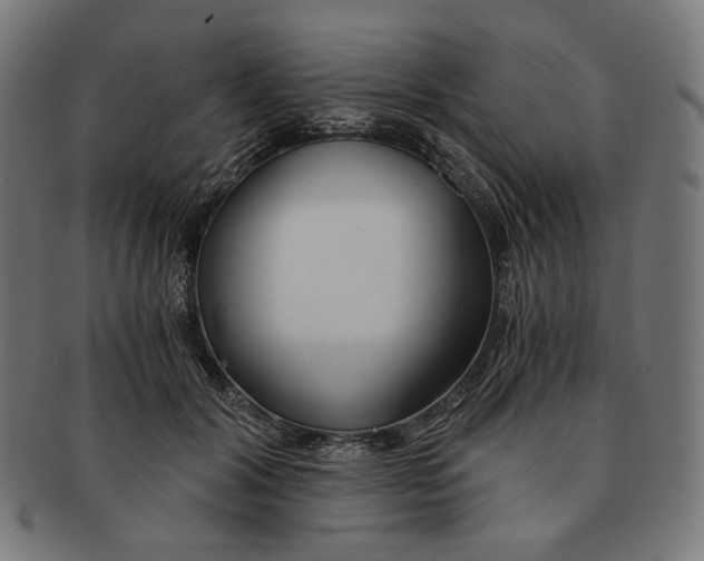 X0000091180604200709060955
