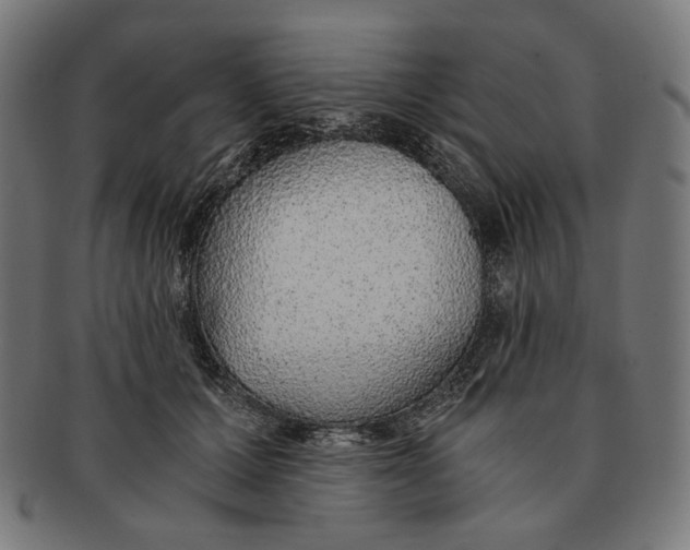 X0000091180607200709060955