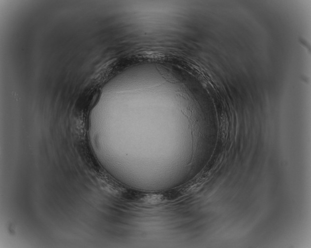 X0000091180609200709060955