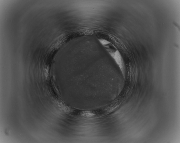 X0000091180610200709060955