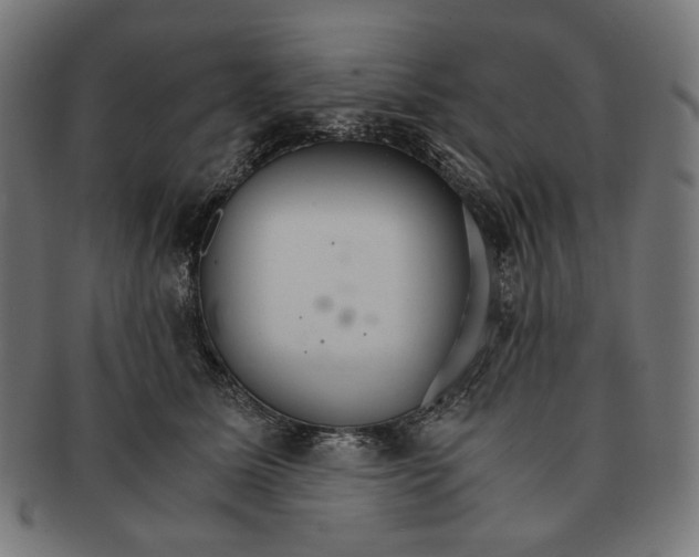 X0000091180611200709060955