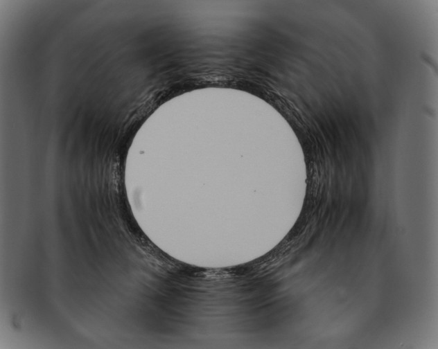 X0000091180612200709060955