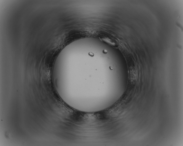 X0000091180613200709060955