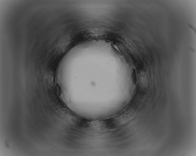 X0000091180615200709060955