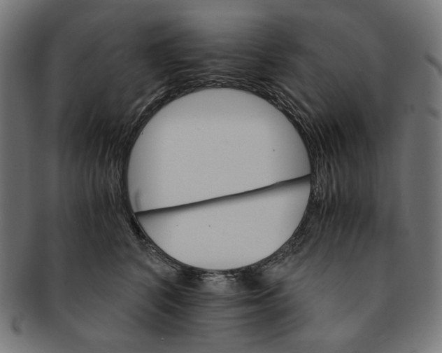 X0000091180616200709060955