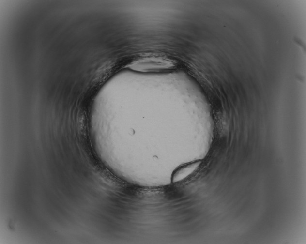 X0000091180619200709060955
